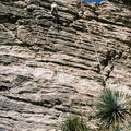 Climbing Tucson PrisonCamp01