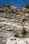 Climbing Tucson PrisonCamp01