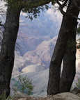 GrandCanyon2007 215 17 Pano CanyonTrees1