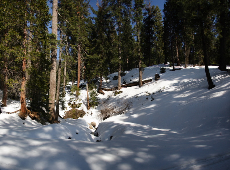 Jeff_038_40_Pano_Snow_and_trees_from_MK_road.jpg