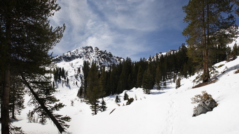 Jeff_392_95_Pano_Trees_with_View.jpg