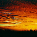 Sunset0199.jpg