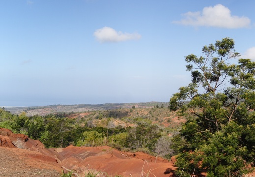 honeymoon jw 018 020