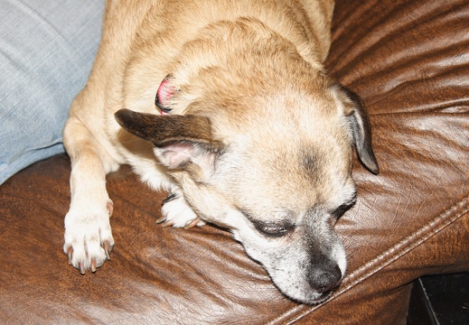 Aniversarathersday 39