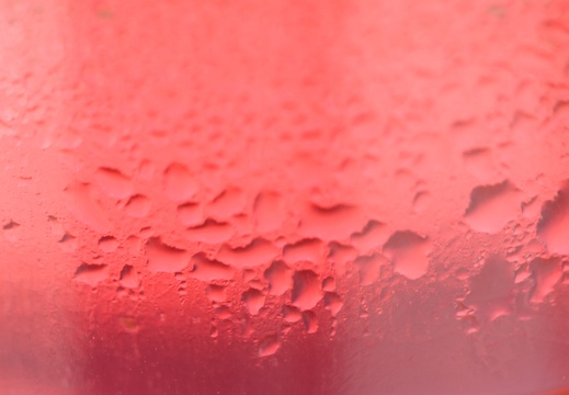 Annibirtherfathersday-2010 017