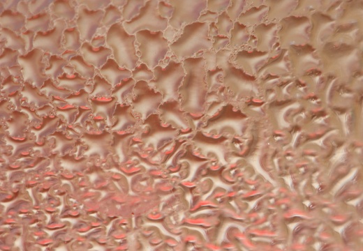 Annibirtherfathersday-2010 018