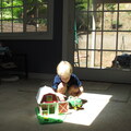 IMG 5522
