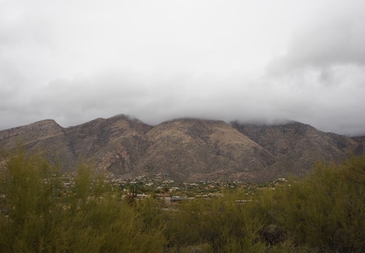 Christmas08 Tucson 036