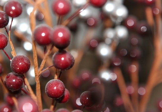 Christmas08 Tucson 077