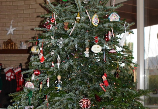 Christmas08 Tucson 222