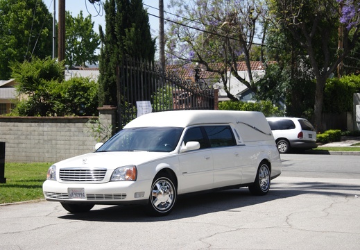 GWilkinson Memorial 266