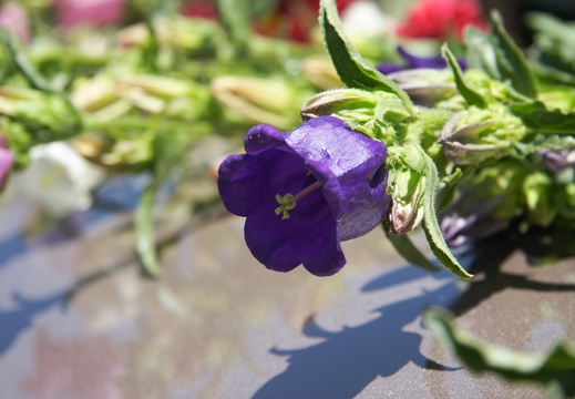 GWilkinson Memorial 338