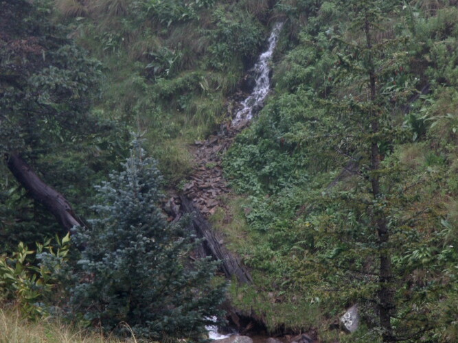 IMG 6998 001