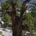 IMG 6590