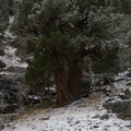 IMG 6651