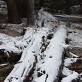 IMG 6652