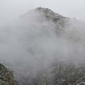 IMG 6657