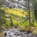 IMG 6673