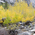 IMG 6685