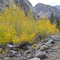IMG 6688