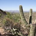 IMG 3421