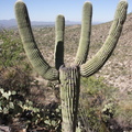 IMG 3425