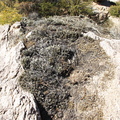 IMG 3443