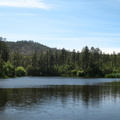IMG 4567