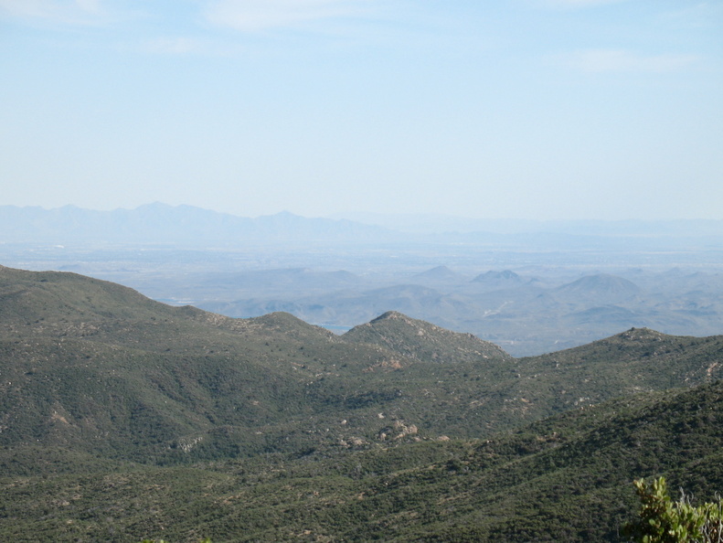 IMG 4590