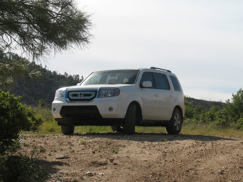 IMG 4593