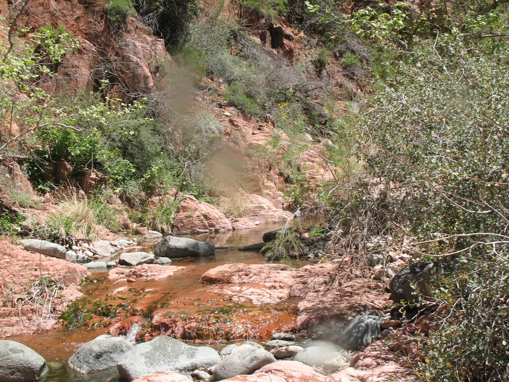 IMG 4070