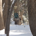 IMG 7534