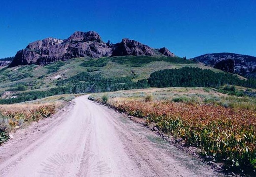jarbidge