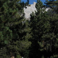 IMG Mike 4149
