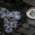 IMG 6594