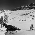 Jeff_137_44_Pano_BW_Eagle_Lake_from_campsite.jpg