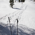 Jeff 284 85 Pano SkiPoles