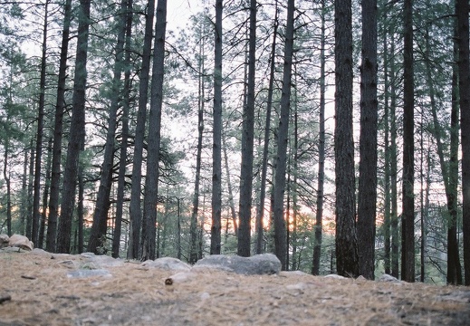 050317 cyag camping05