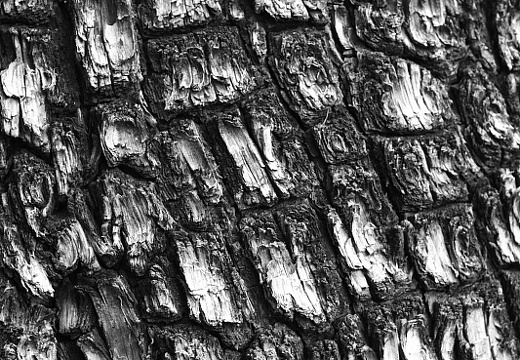 Payson TontoNaturalBridge 127