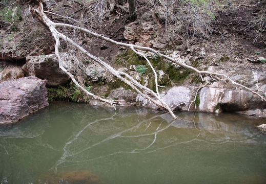 Payson TontoNaturalBridge 133