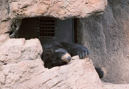 TucsonDesertMuseum04232005 05