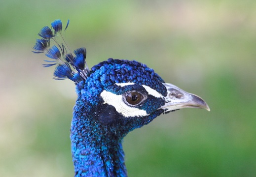 TucsonTrip 10 24 08 042