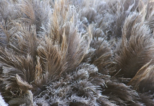 TucsonTrip 10 24 08 051