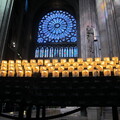 IMG 0906