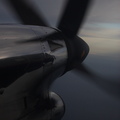 Survival Trip 04 10 185