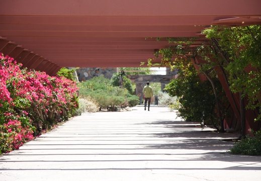 Taliesin West 08