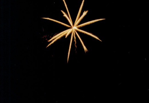 Denver CO firework07