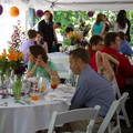 IMG 9865