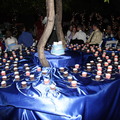 IMG 9558