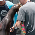 IMG 7063